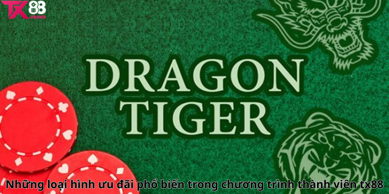 Những Loại Hình Ưu Đãi Phổ Biến Trong Chương Trình Thành Viên Tx88 Những Loại Hình Ưu Đãi Phổ Biến Trong Chương Trình Thành Viên Tx88