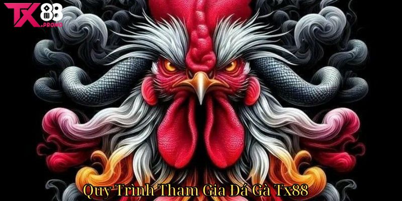 Quy Trình Tham Gia Đá Gà Tx88 Quy Trình Tham Gia Đá Gà Tx88
