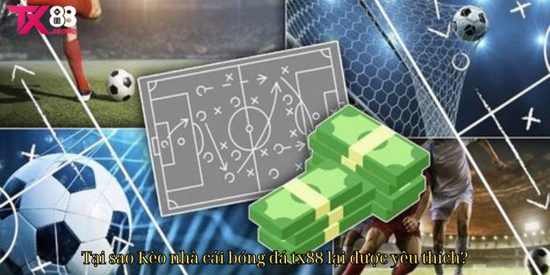 Tại Sao Kèo Nhà Cái Bóng Đá Tx88 Lại Được Yêu Thích Tại Sao Kèo Nhà Cái Bóng Đá Tx88 Lại Được Yêu Thích